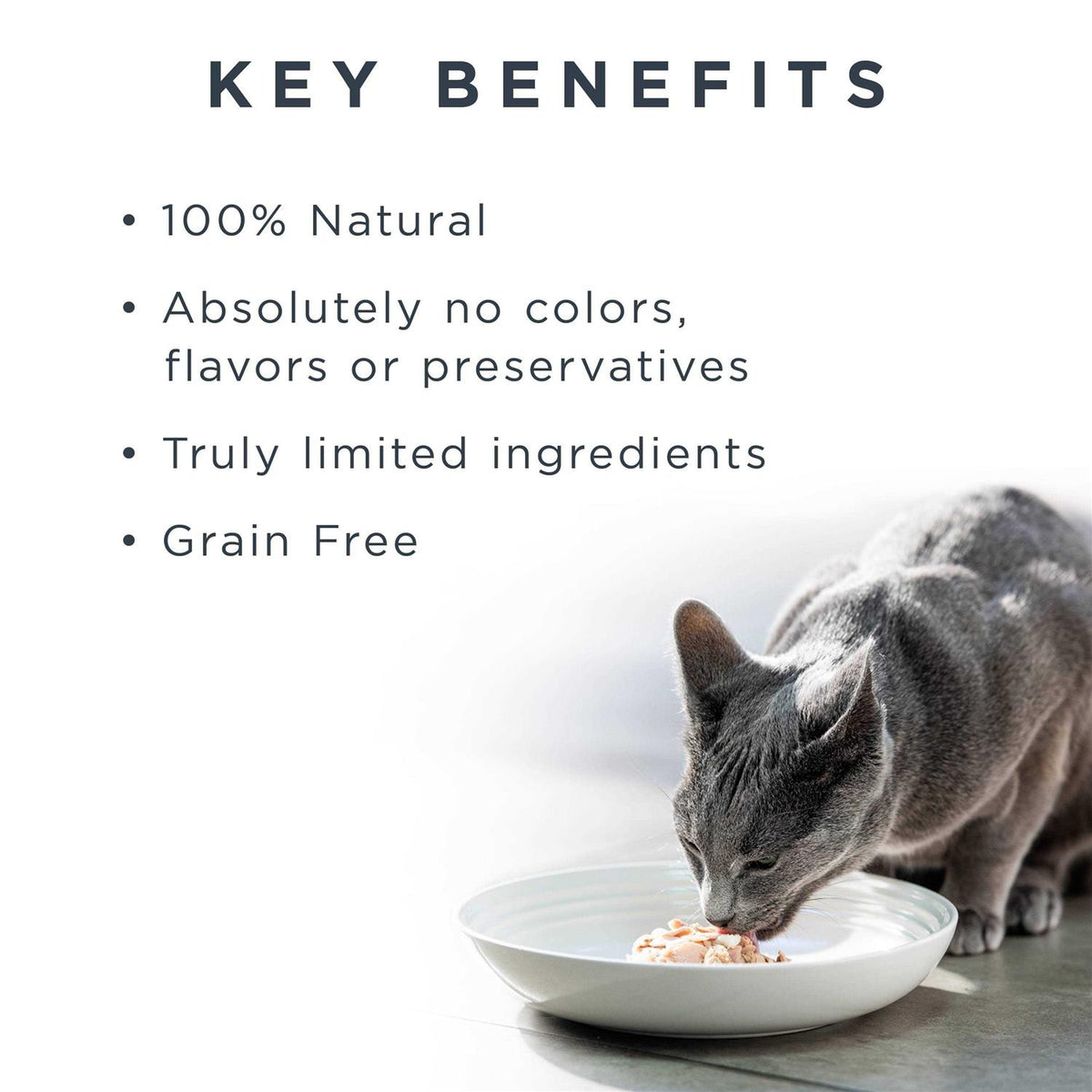 Grain Free Chicken Cat Food in Broth P828816