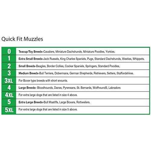Muzzle I961580