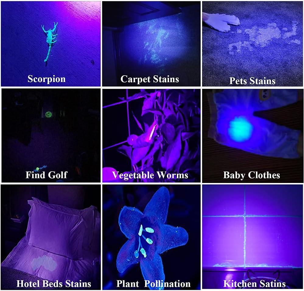 2 Pack Rechargeable UV Flashlight 385-395nm F202023
