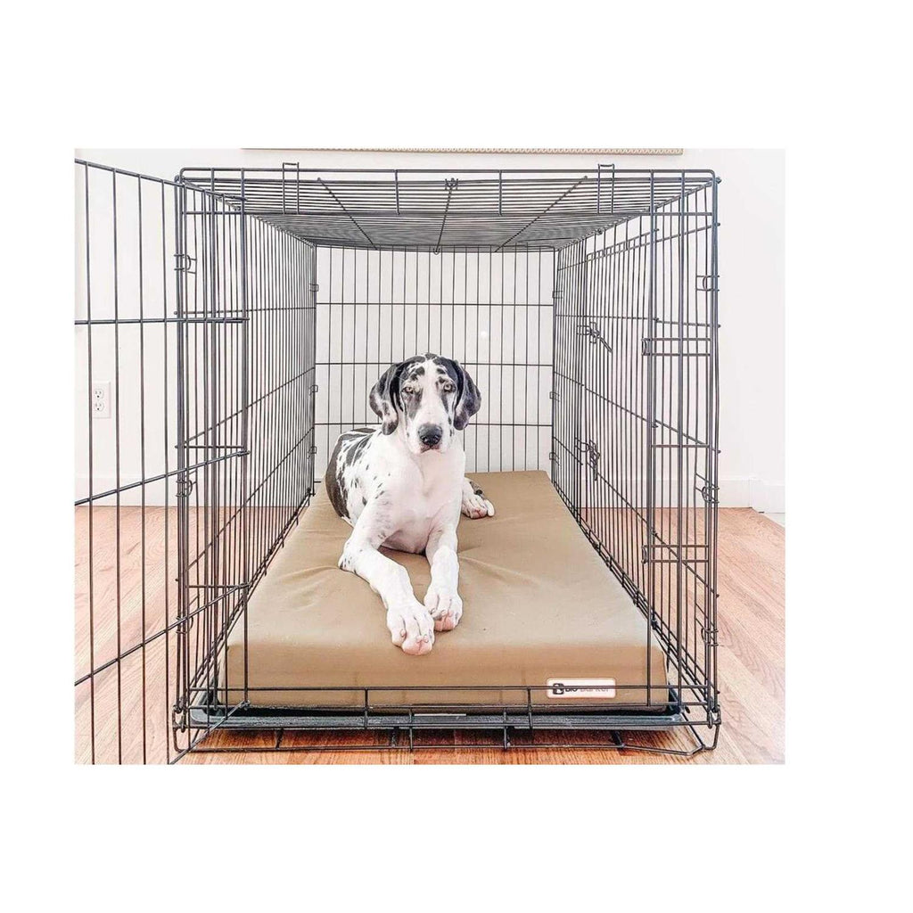 Orthopedic Crate Bed W11179