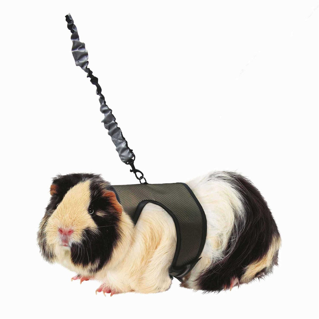 Pet Supplies Z229