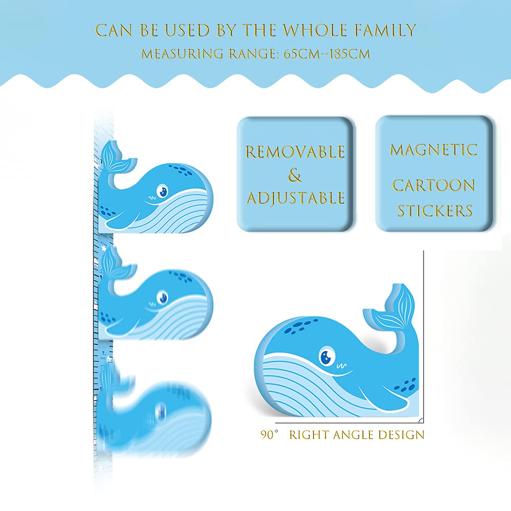 3D Dolphin Kids Measuring Chart with Average Height Line K338