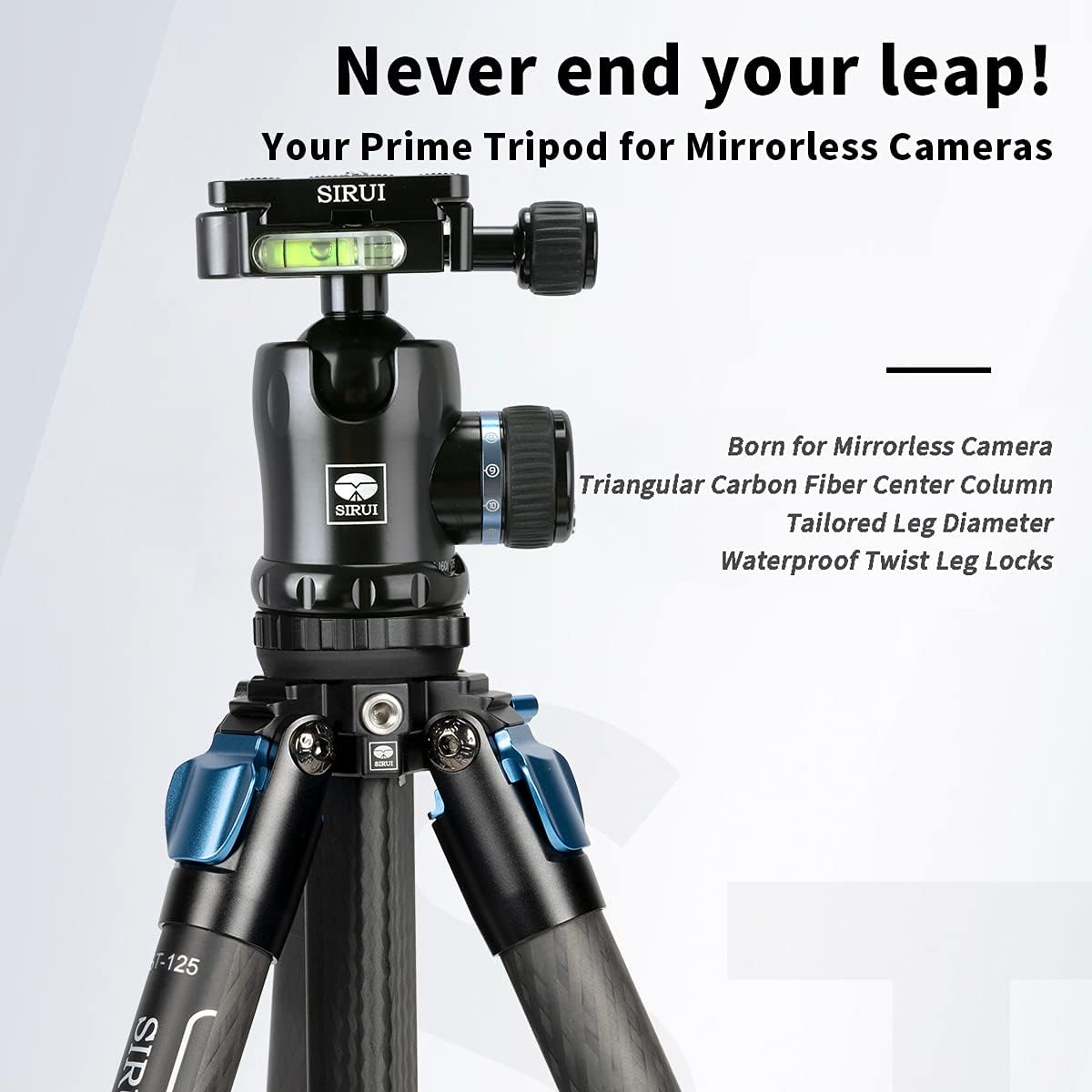 Carbon Fiber Tripod with Triangular Center Column P10305