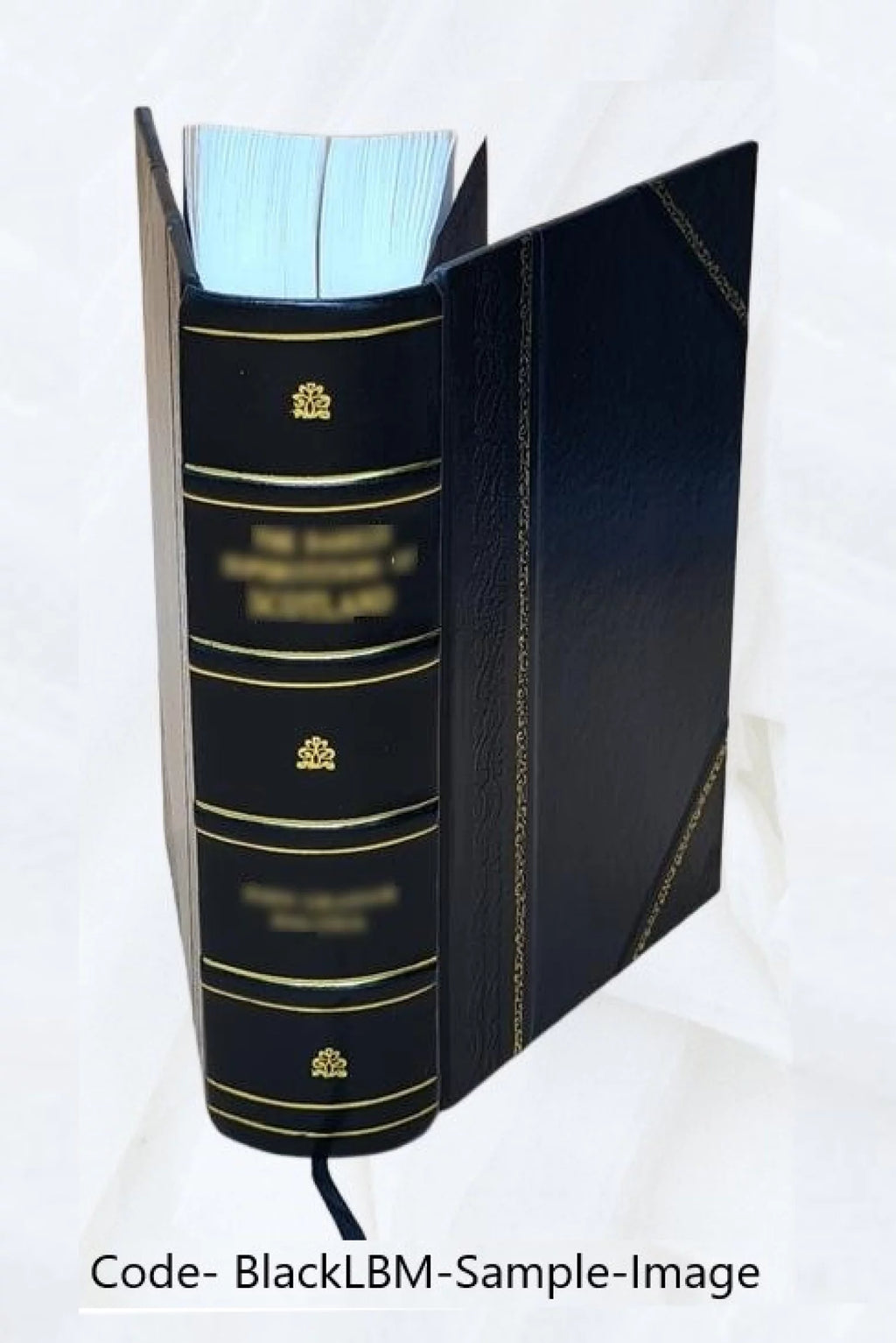 Leather Bound Furniture and Furnishings K1349