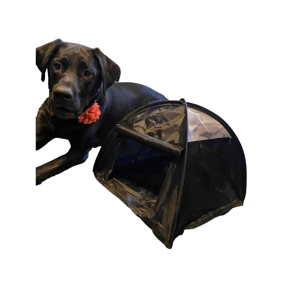Pop Up Dog Tent S617