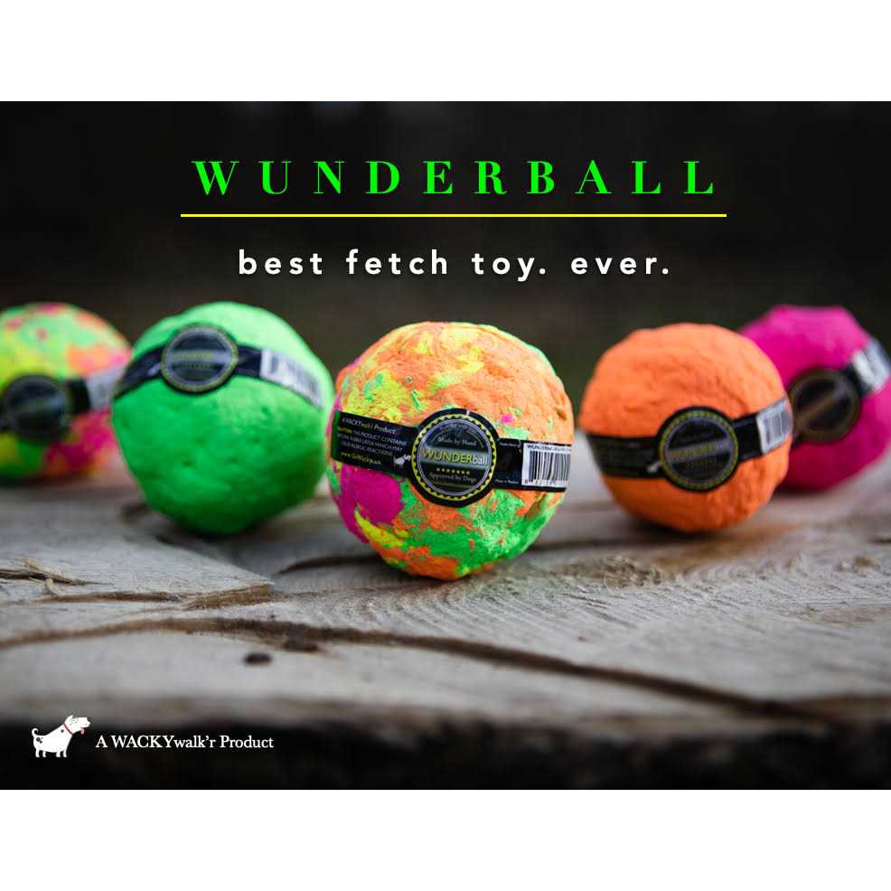Fetch Dog Toy I25496