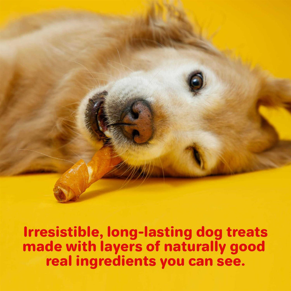 Bacon Wrap Twists Pig Skin Dog Treats F9454