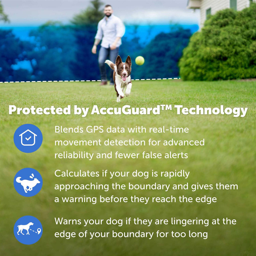 Wireless Dog Fence Collar Z35107