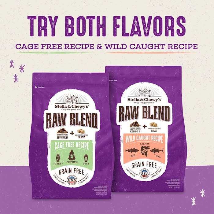 Cage-Free Recipe Dry Cat Food X376