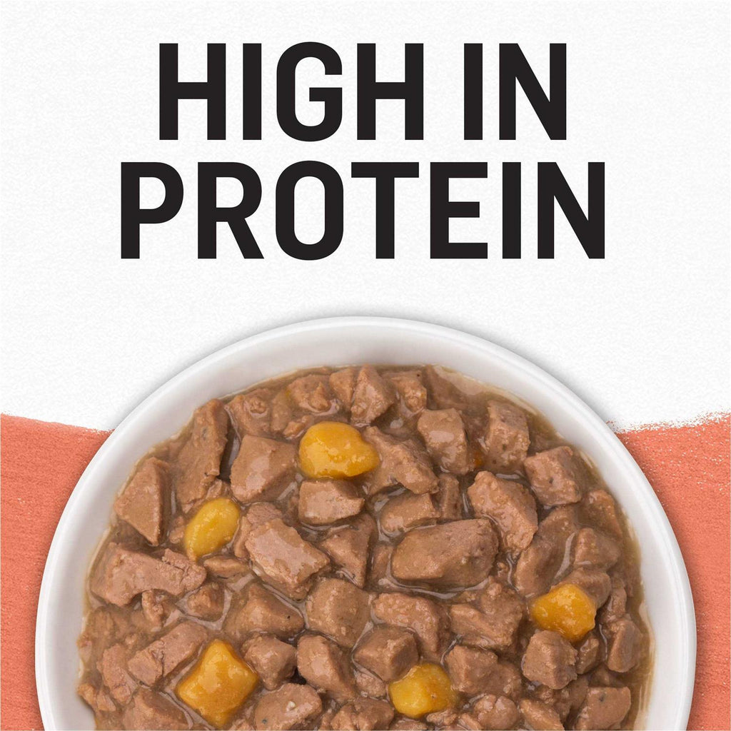 Grain Free Salmon & Sweet Potato Cat Food M475812