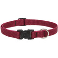 Dog Collar S122644