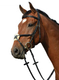 Black Padded Raised Cavesson Bridle X382381