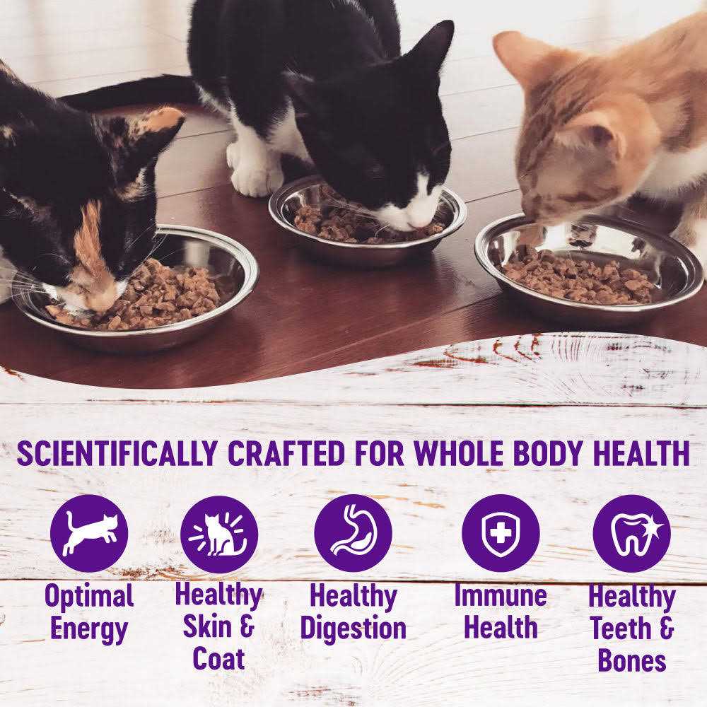 Grain Free Wet Cat Food F9569