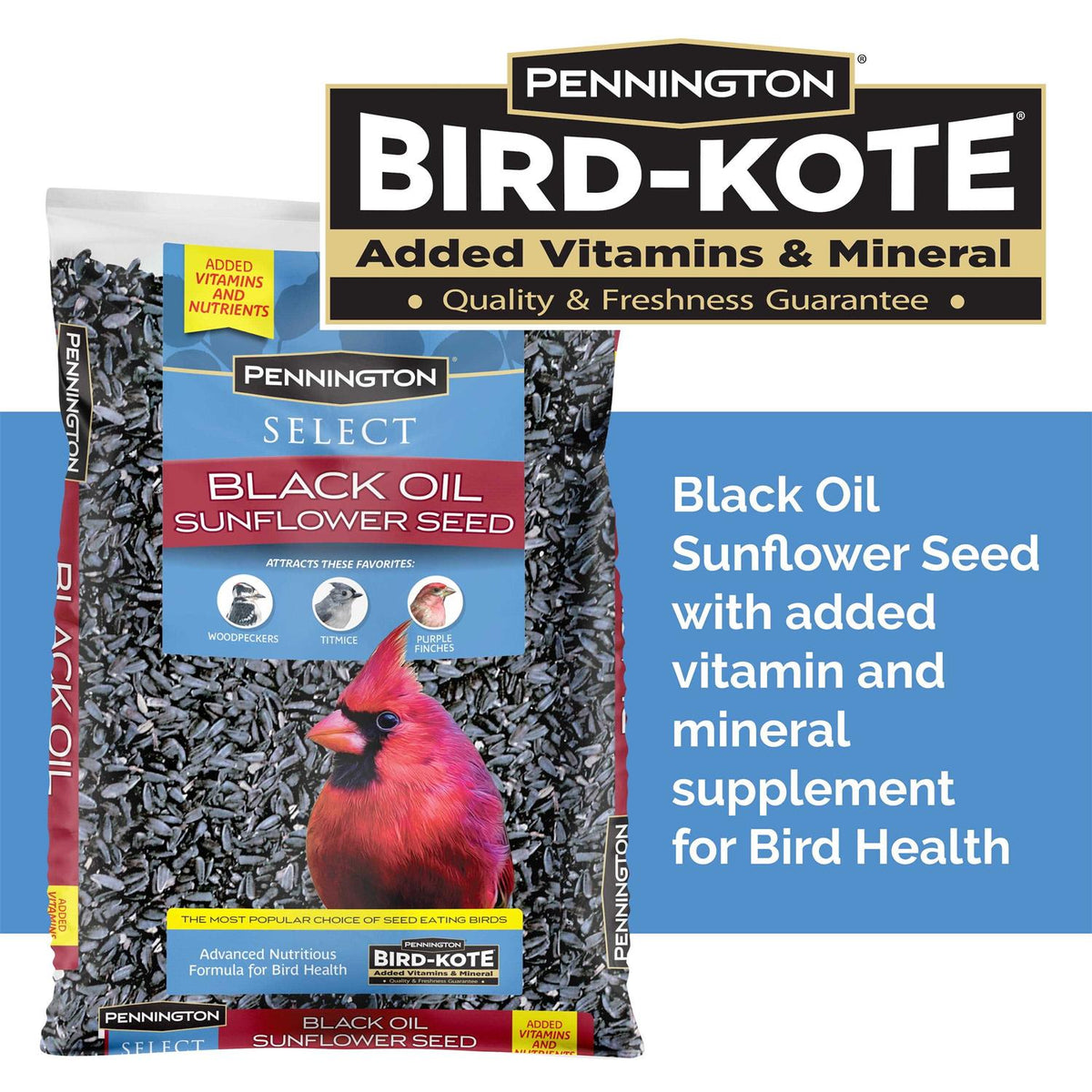 Black Oil Sunflower Seed Wild Bird Feed U976