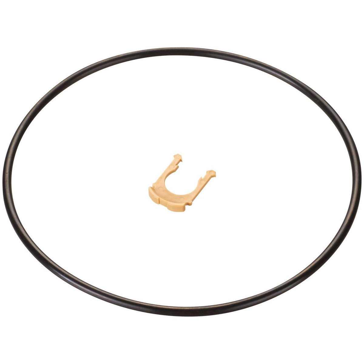 Fuel Pump Module Assembly F521220