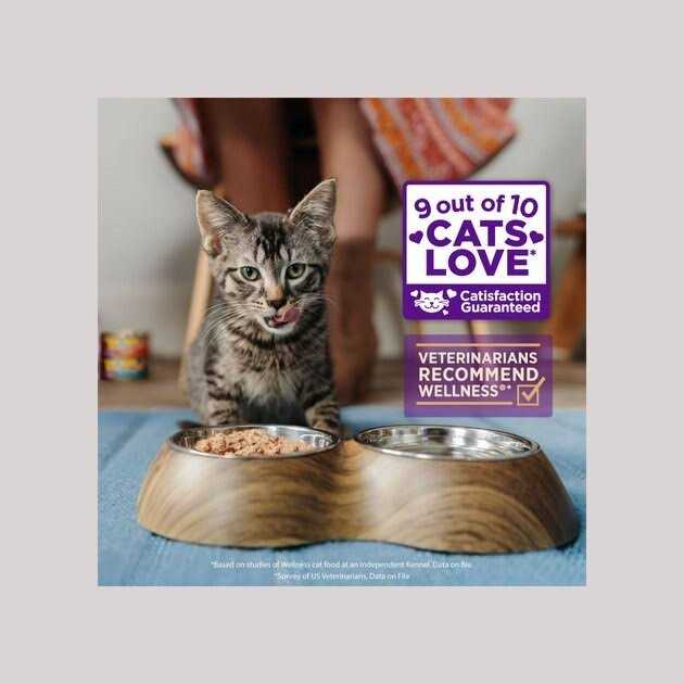 Grain Free Wet Cat Food F9569