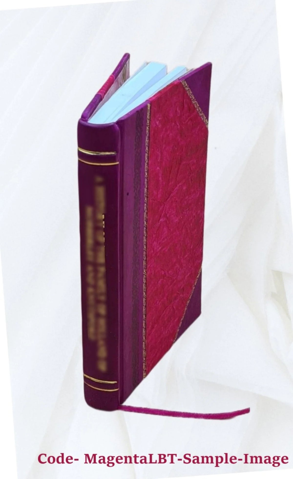 Comedia Facetissima Et Nova Leather Bound S325