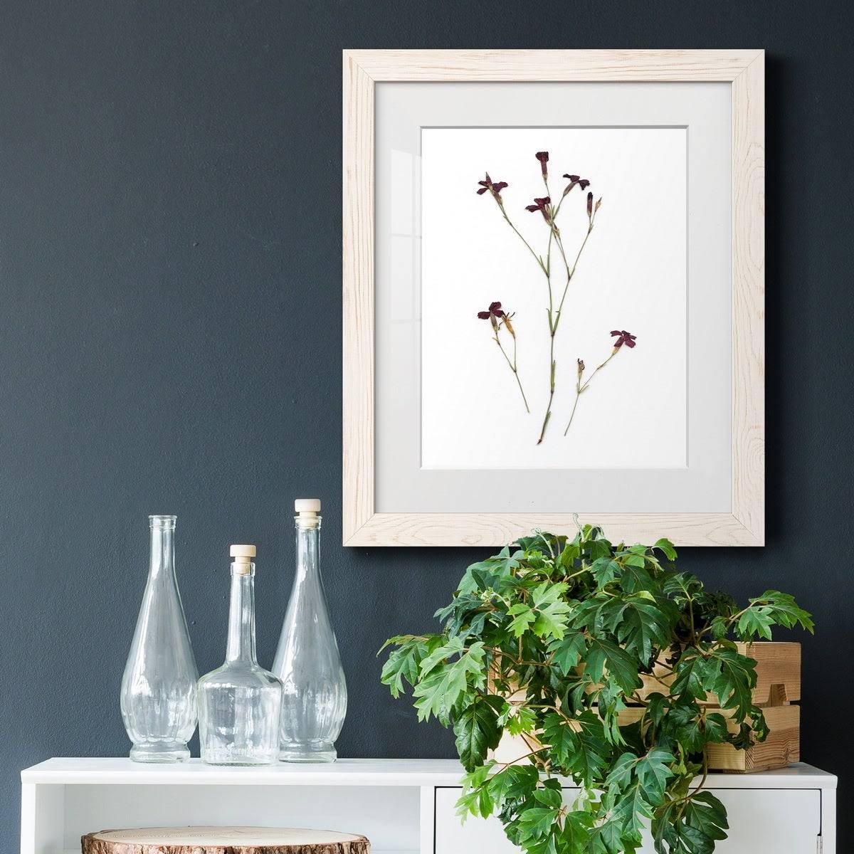 Maple Framed Print N4192