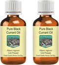 Black Currant Oil Cold Pressed 100ml X 2 B8449