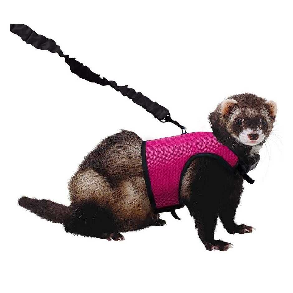 Pet Supplies Z229