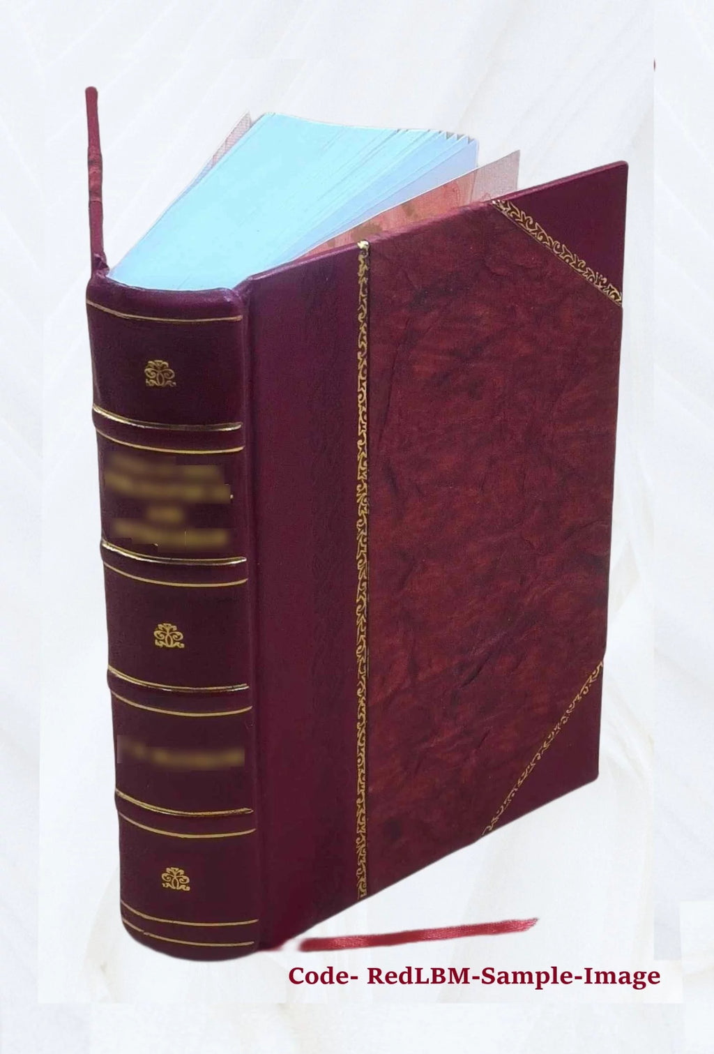 Leather Bound Furniture and Furnishings K1349