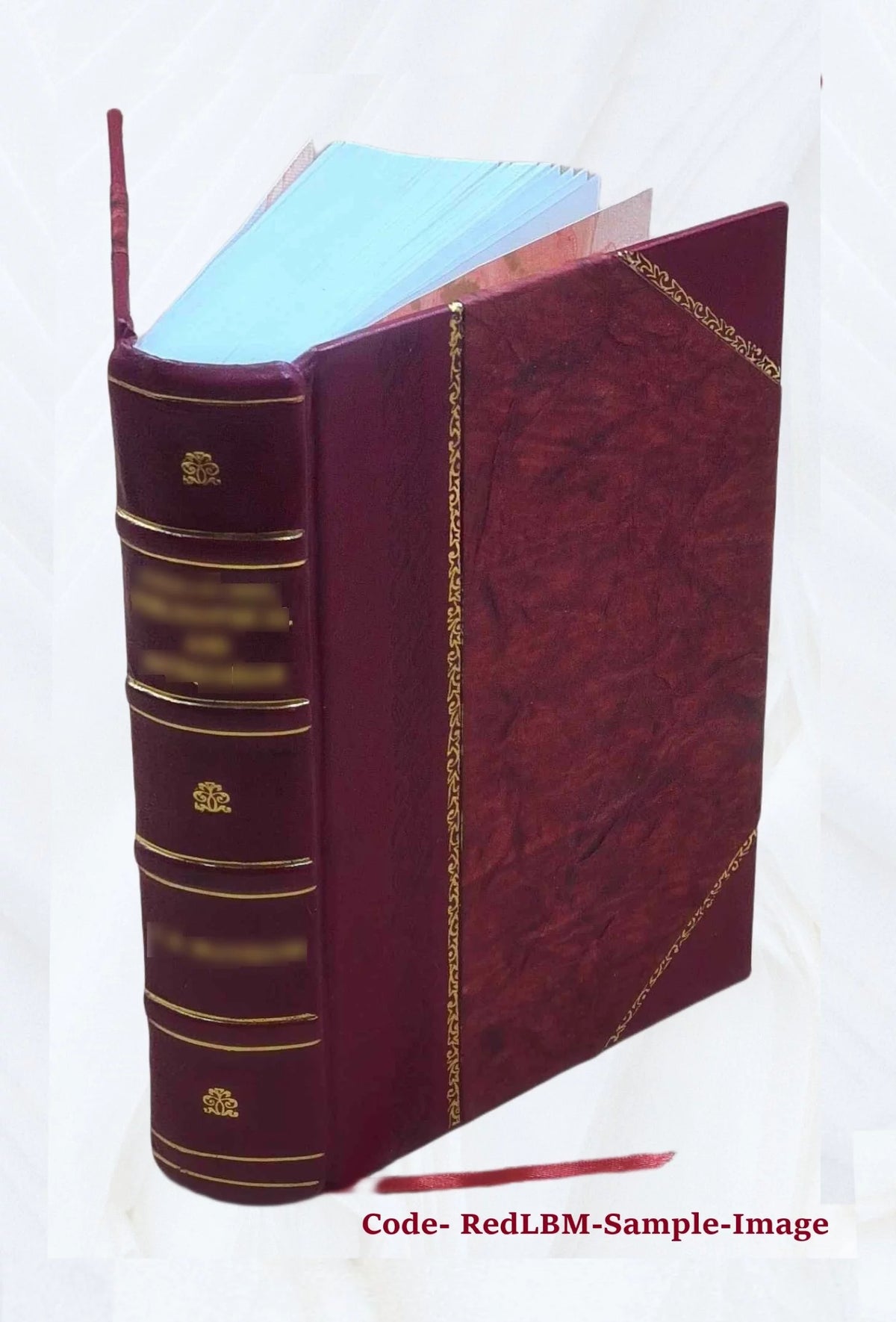 Leather Bound Furniture and Furnishings K1349