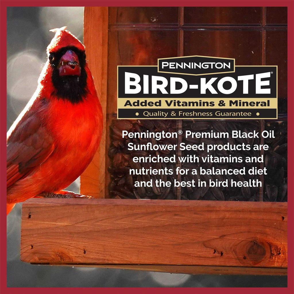 Black Oil Sunflower Seed Wild Bird Feed U976