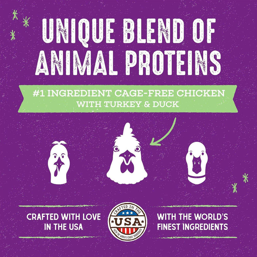 Cage-Free Recipe Dry Cat Food X376