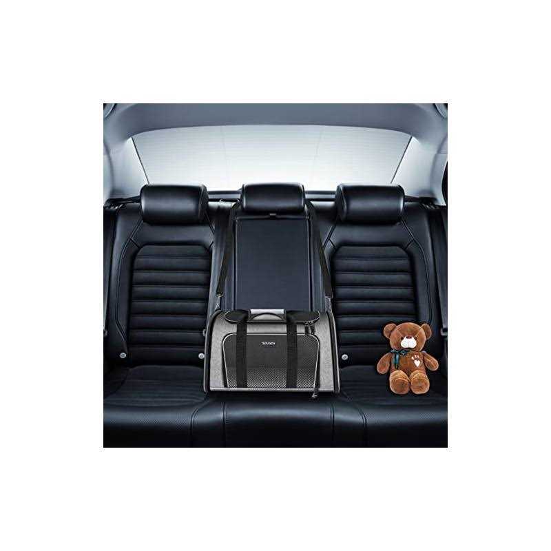 Airline Approved Soft Sided Pet Carrier V758918