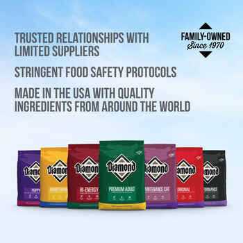 Adult Dog Food K647179