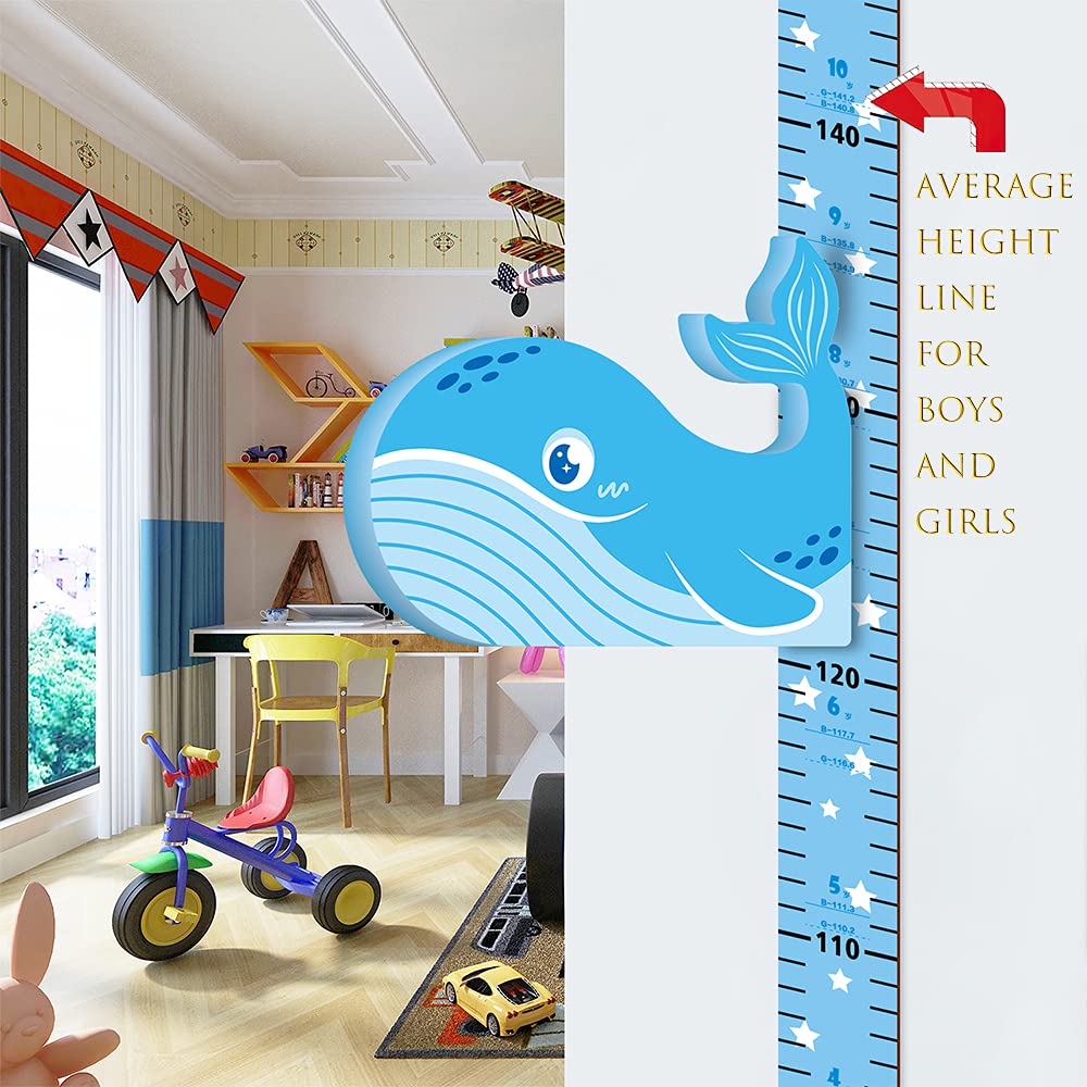 3D Dolphin Kids Measuring Chart with Average Height Line K338