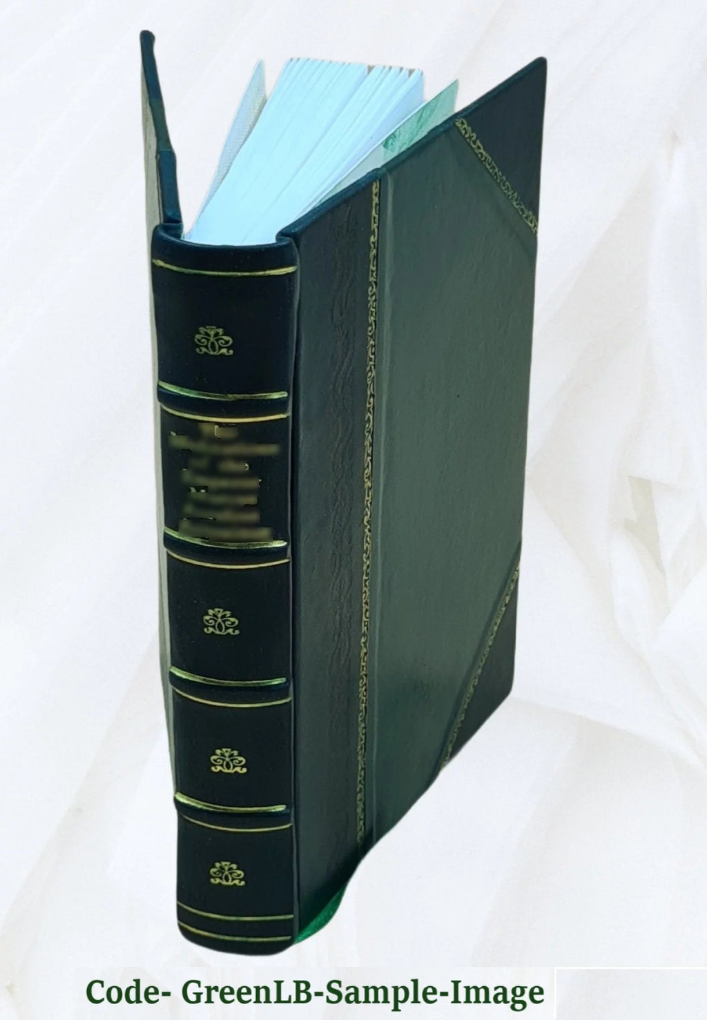 Historical Novel A132636