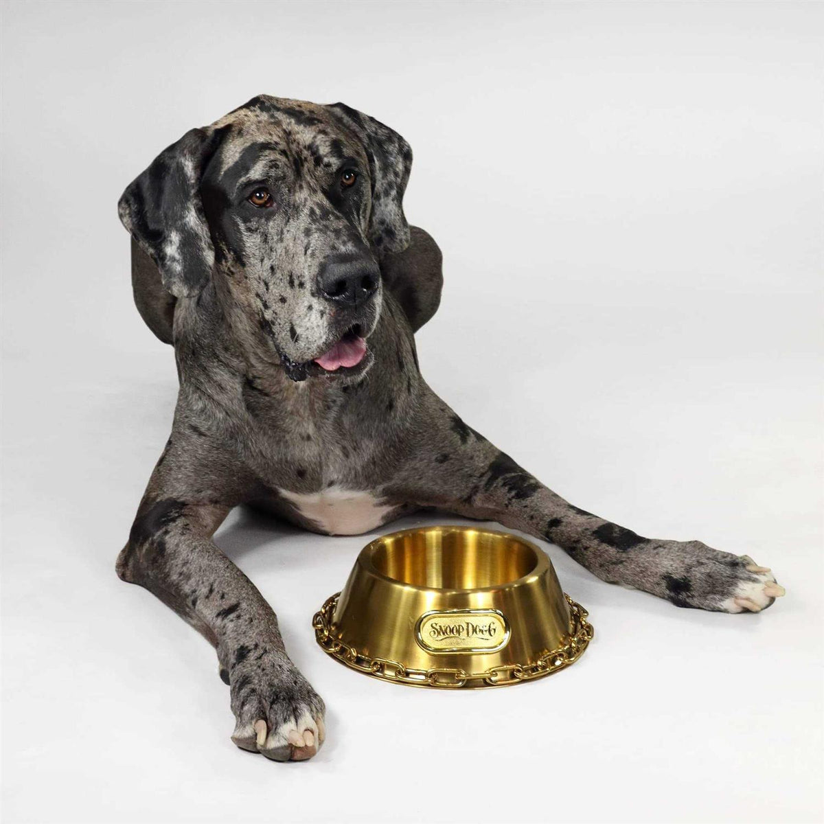 Pet Bowl U4610