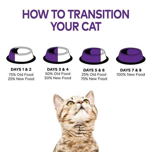 Grain Free Wet Cat Food F9569