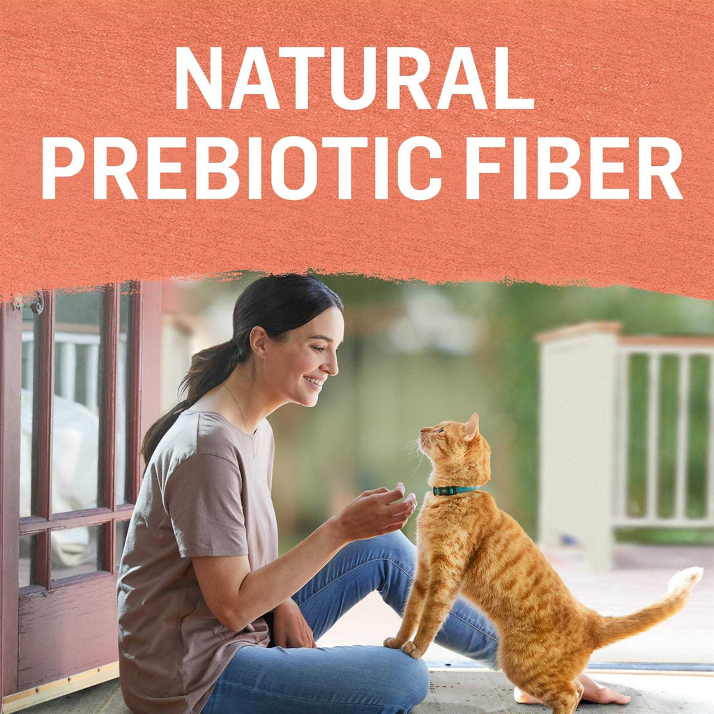 Grain Free Salmon & Sweet Potato Cat Food M475812